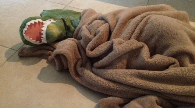 Kids Dinosaur Costume Sleeping With A Blanket