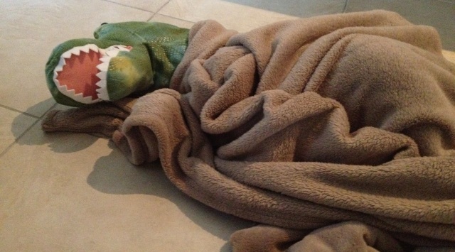 Kids Dinosaur Costume Sleeping With A Blanket Kids Dinosaur Costume Sleeping With A Blanket