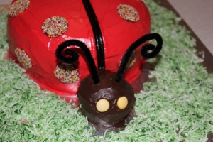 Evie Lattimre, 1st-Birthday Ladybird Cake