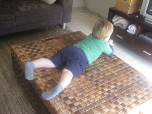 Hugo laying on the coffee table